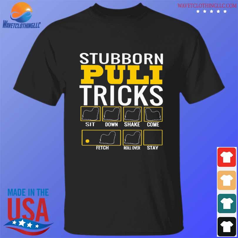 Stubborn puli tricks sit down shake come fetch roll over stay shirt