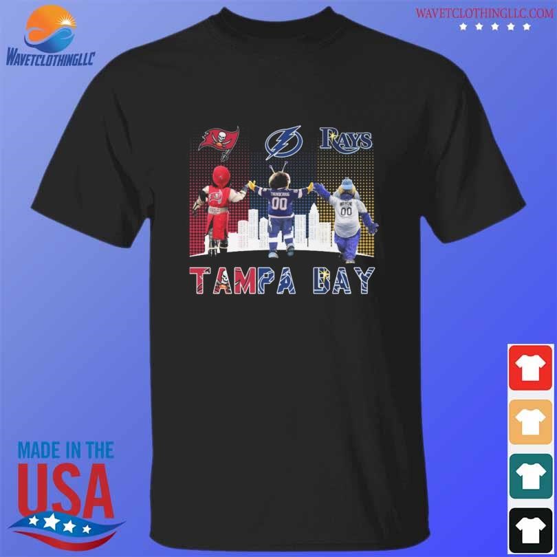 Tampa Bay Buccaneers Bay Rays Bay Lightning skyline logo shirt